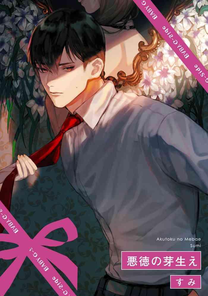 cover 43