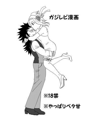 gajeelevy manga 2 cover