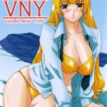 i love vny vanilla new york cover