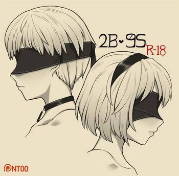 2b 9s cover