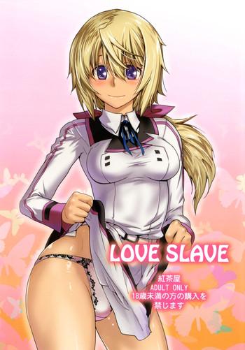 love slave cover 1