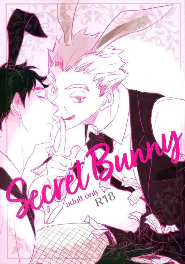 secret bunny cover