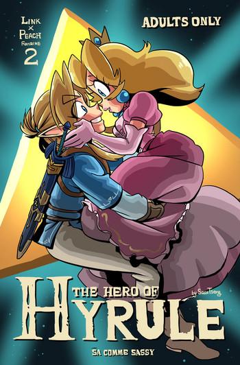 the hero of hyrule cover