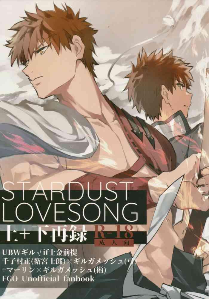 stardust lovesong top bottom reprint cover