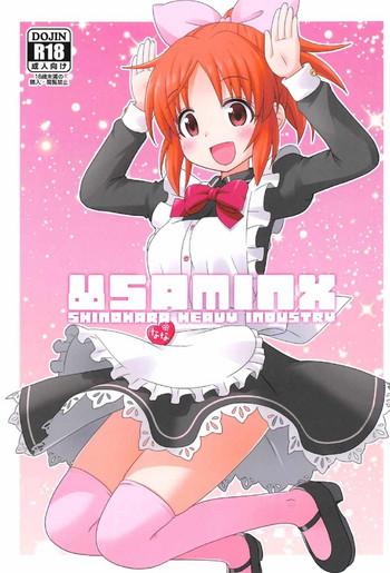 usaminx cover